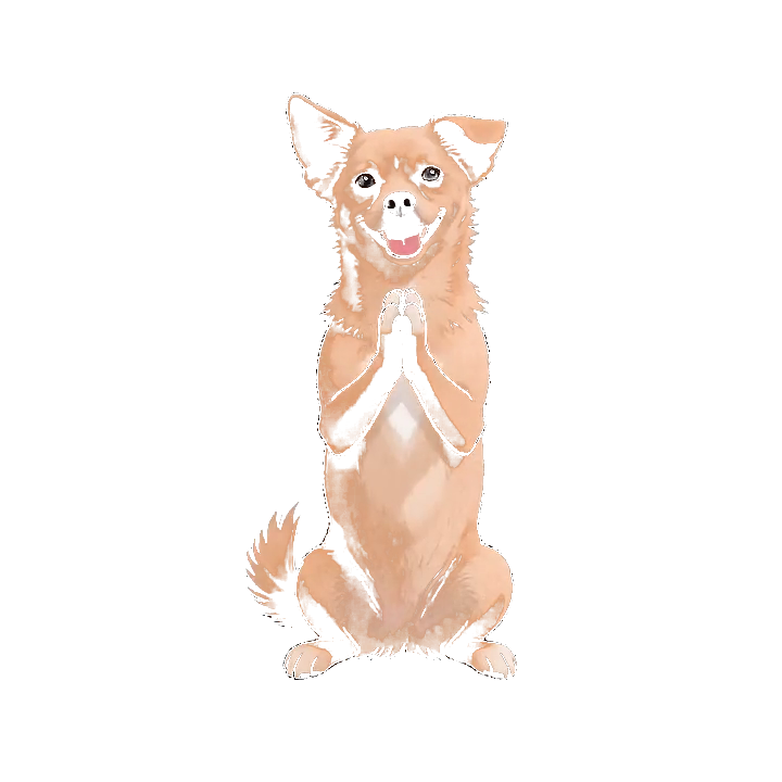 中华田园犬八喜生成后的桌宠静态效果