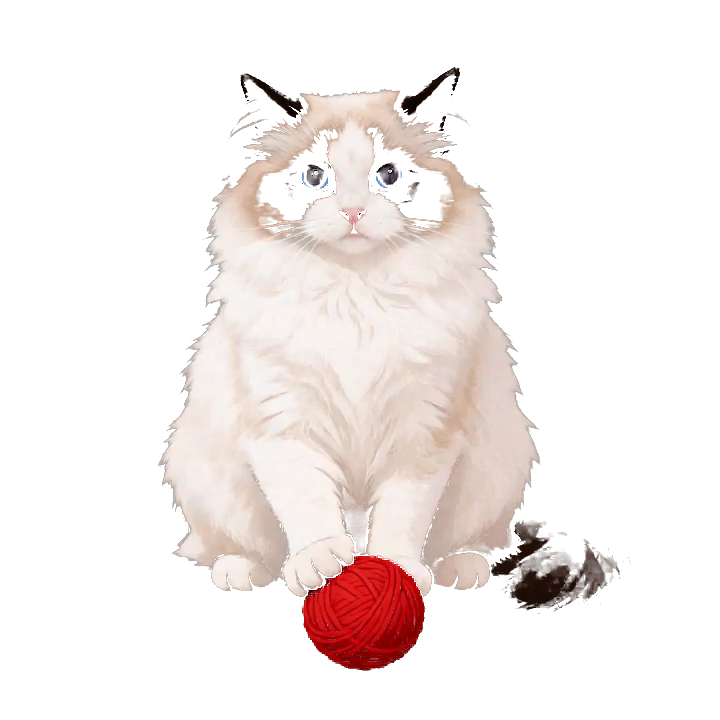 布偶猫妹妹生成后的桌宠静态效果
